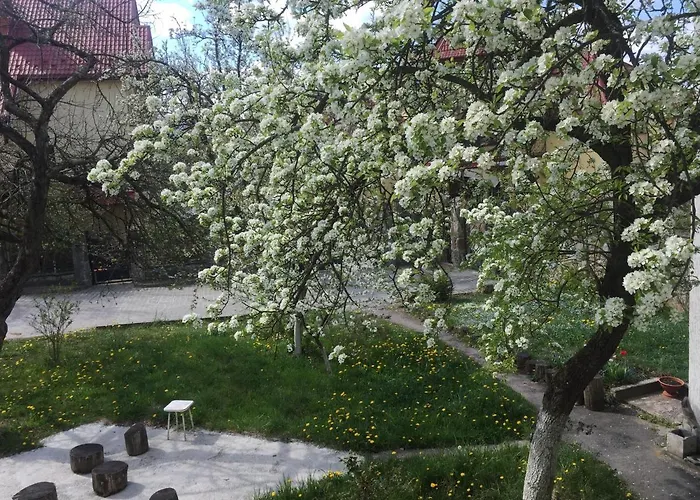 Apartamento квартира-студія Truskavets
